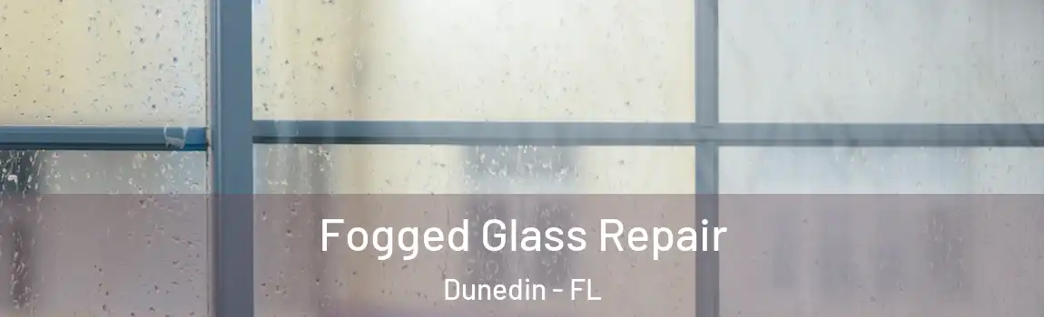  Fogged Glass Repair Dunedin - FL