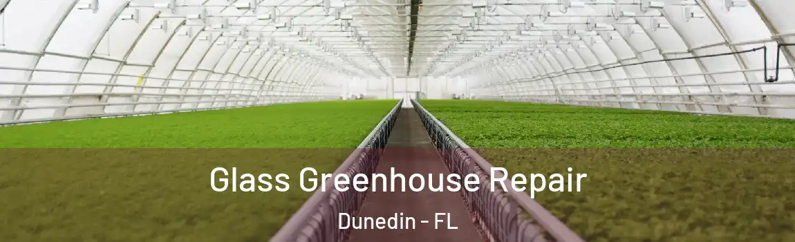  Glass Greenhouse Repair Dunedin - FL